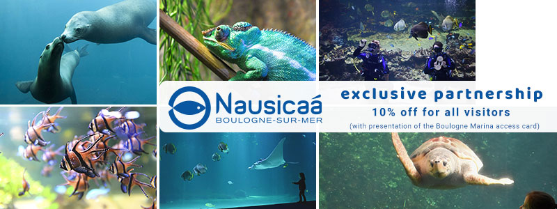 banniere-nausicaa-site-web---EN.jpg Nausicaa partnership Boulogne Marina