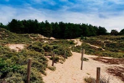 Nature & Hiking - Boulogne Marina