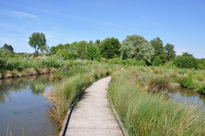 Nature & Hiking - Boulogne Marina