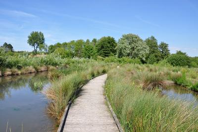 Nature & Hiking - Boulogne Marina