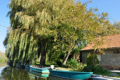 Nature & Hiking - Boulogne Marina