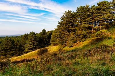 Nature & Hiking - Boulogne Marina