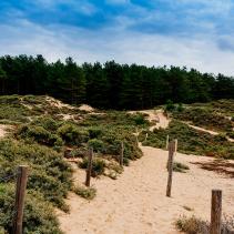 Les dunes de  la Slack